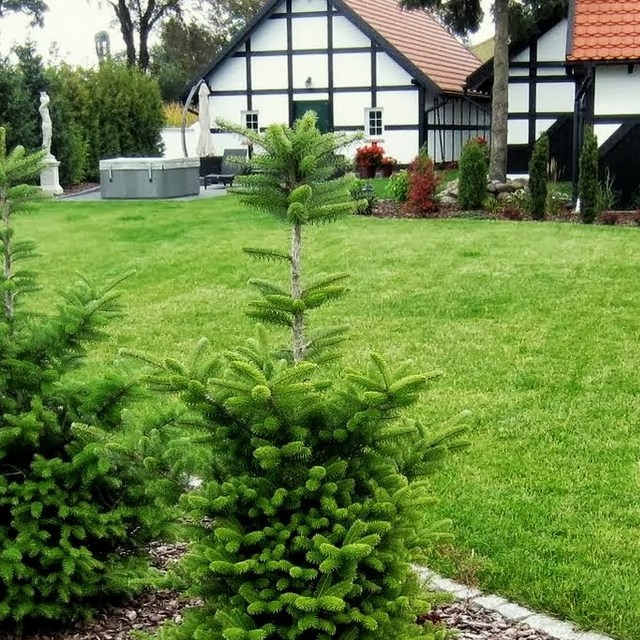 Budowa ogrodu Toruń - trawnik z rolki w ogrodzie przydomowym.